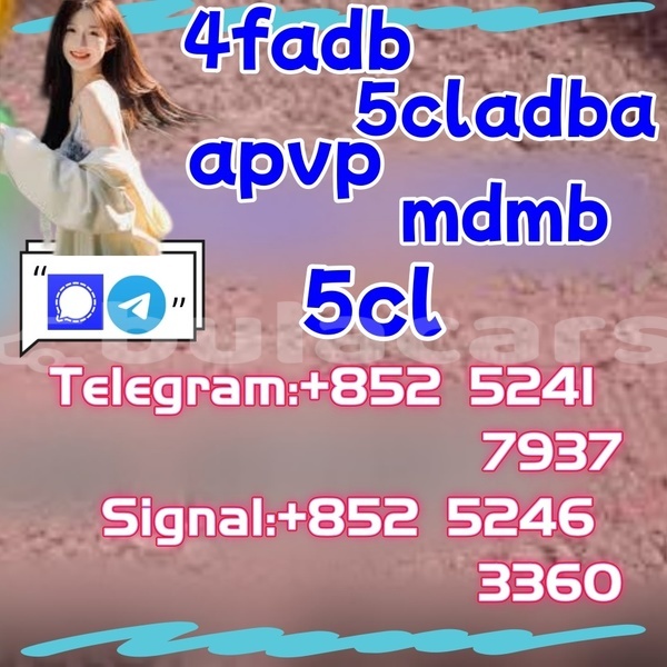 Big with watermark aeon minikolt central deuba 27956