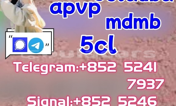 Buy New Aeon Minikolt Brown Bike in Deuba in Central Buy New Aeon Minikolt Brown Bike in Deuba in Central