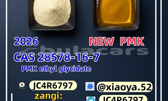 Medium with watermark 7
