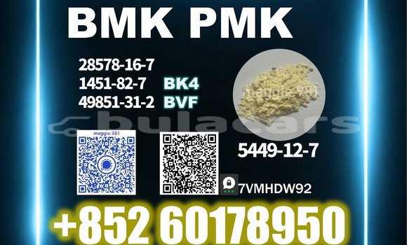 Medium with watermark bmk cas 5449 12 7 factory stock