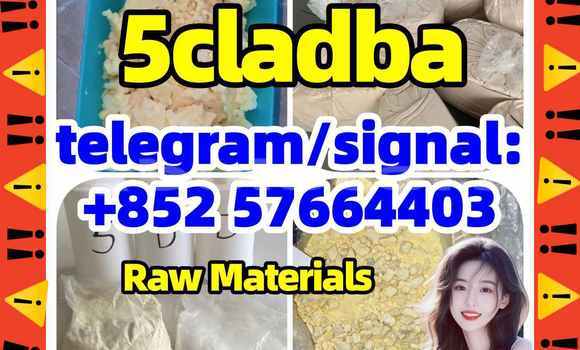 Medium with watermark 52