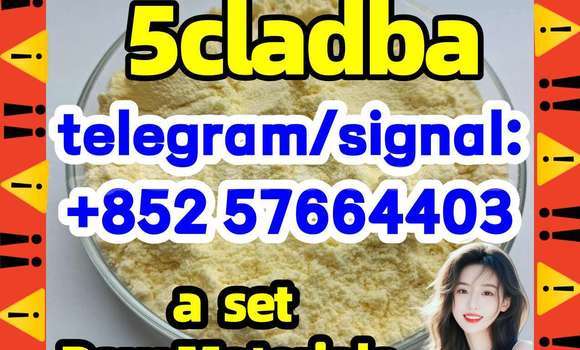 Medium with watermark 53