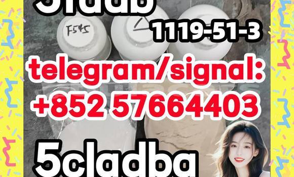 Medium with watermark 55