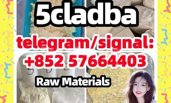 Medium with watermark 510