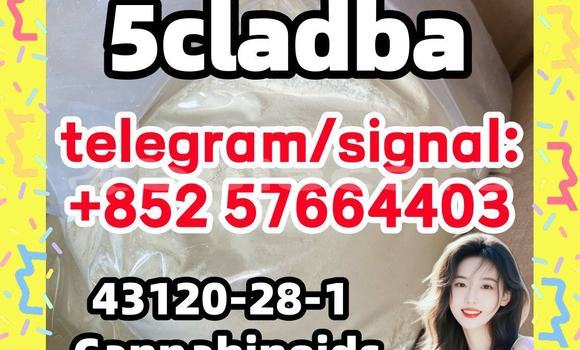 Medium with watermark 59