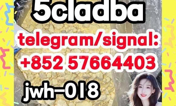 Medium with watermark 53