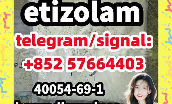 Medium with watermark e1