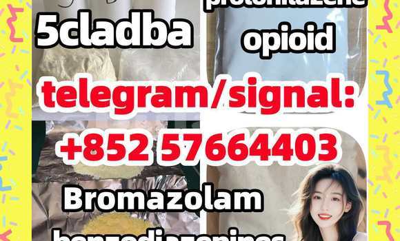 Medium with watermark z1
