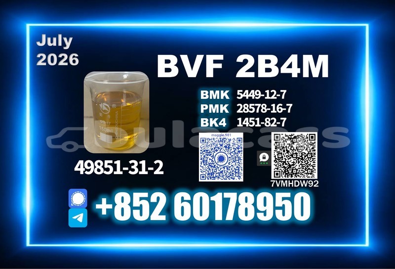 Big with watermark bvf cas 49851 31 2 pharmaceutical intermediate supply