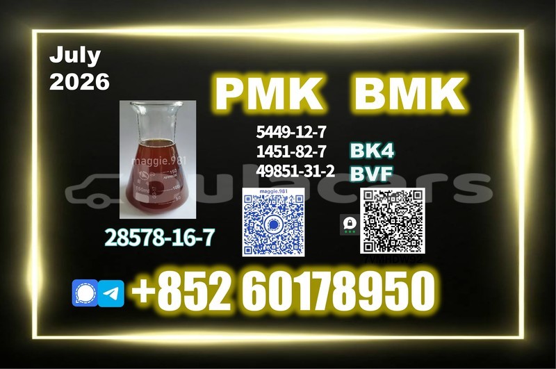 Big with watermark pmk cas 28578 16 7 pharmaceutical synthesis use