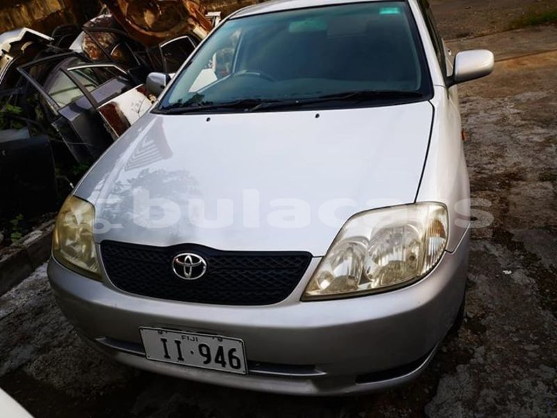 Big with watermark 51416312 10157069259409901 7578525486632927232 n