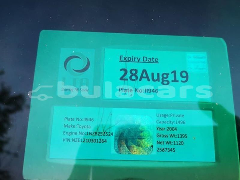 Big with watermark 51411437 10157069260154901 6383938435568107520 n