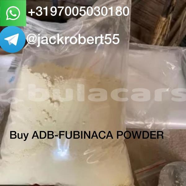 Big with watermark whatsapp image 2026 06 19 at 3.53.20 pm