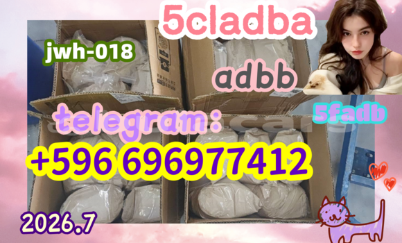 Medium with watermark 7.63