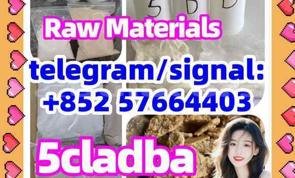 Medium with watermark 58