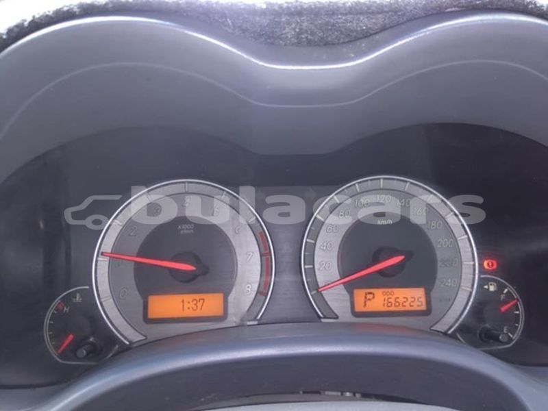 Big with watermark 51844156 2573615799347433 8897788050956877824 n