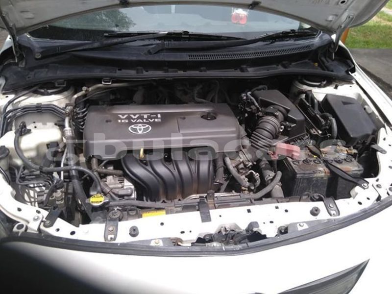 Big with watermark 51762737 2573615822680764 7927027022885289984 n