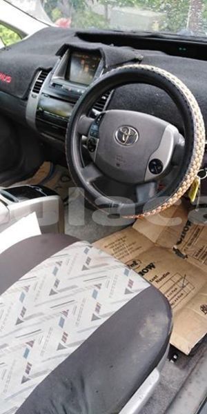 Big with watermark 51353646 2035362423206656 2234326770033623040 n