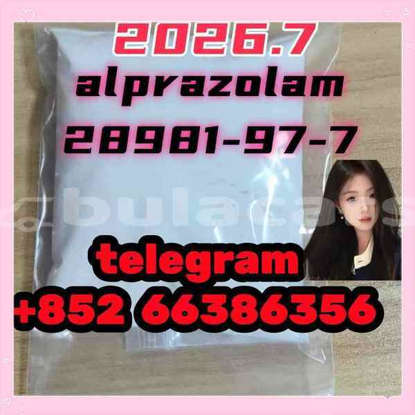 Big with watermark photo 2026 03 04 10 21 42 %e5%89%af%e6%9c%ac