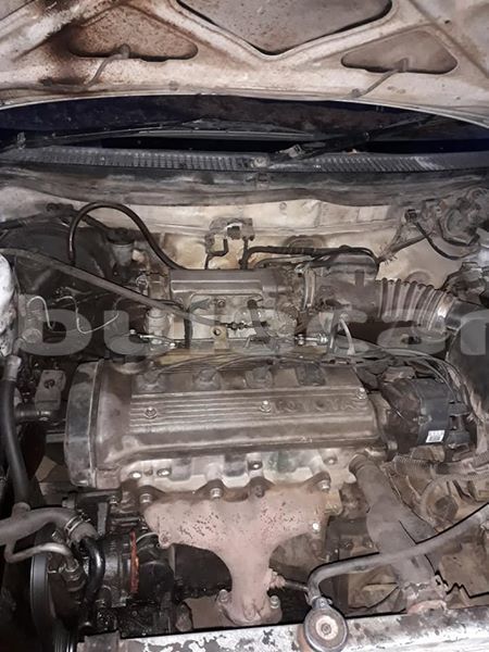 Big with watermark 51334897 2816505638573538 1853533749799550976 n