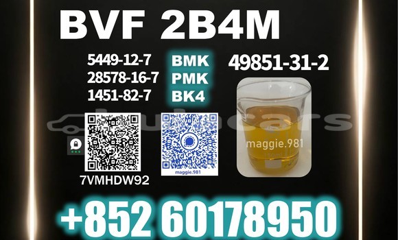 Medium with watermark bvf cas 49851 31 2 bulk stock ready ship