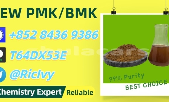 Buy Used Bertone Freeclimber Brown Car in Ba in Western