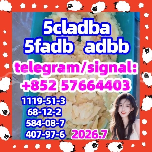 Big with watermark 56