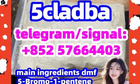 Medium with watermark 59