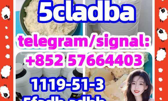 Medium with watermark 510