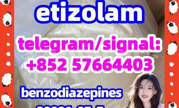 Medium with watermark e1
