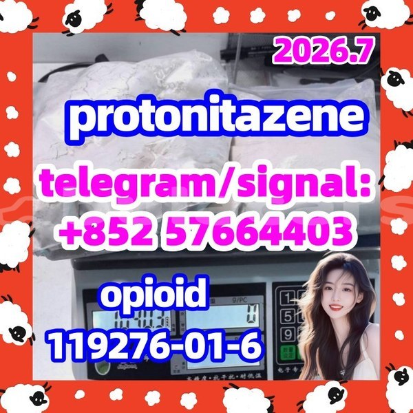 Big with watermark p1
