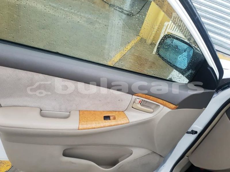 Big with watermark 51188998 1333655920108137 3237584731847524352 n