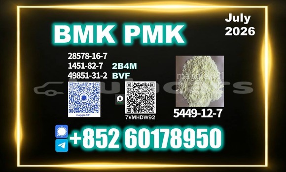 Medium with watermark bmk cas 5449 12 7 proven reliability