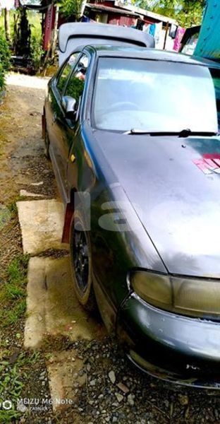 Big with watermark 51474558 998058950405434 4364975593637281792 n