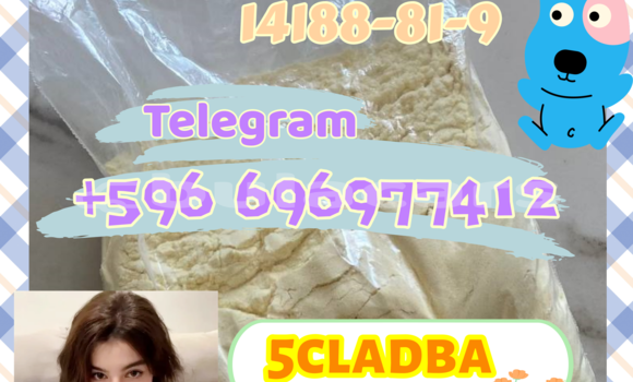 Medium with watermark 0.52