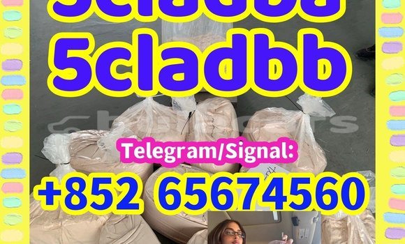 Acheter 5cladba 43120-28-1 à Import - Dubai, Central Acheter 5cladba 43120-28-1 à Import - Dubai, Central