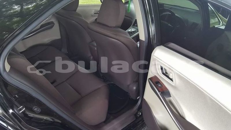 Big with watermark 51874692 2390797917632204 5993636821597159424 o