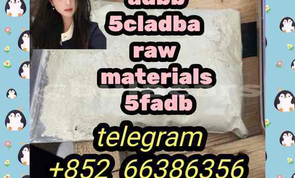 Medium with watermark 3