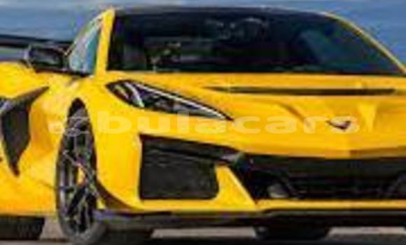 Buy Used AC Ace Brown Car in Import - Dubai in Central