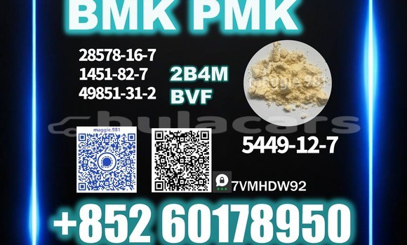 Medium with watermark bmk cas 5449 12 7 top factory