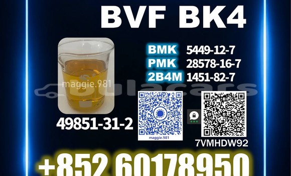 Medium with watermark bvf cas 49851 31 2 top factory