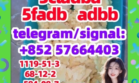 Medium with watermark 56