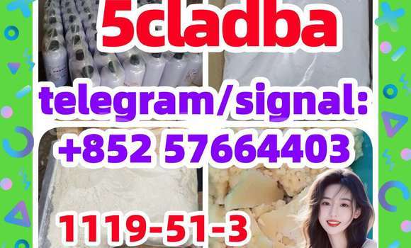 Medium with watermark 57