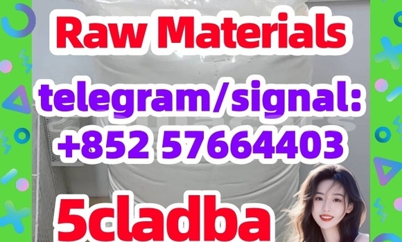 Medium with watermark 510