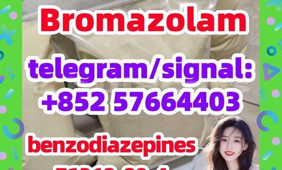 Medium with watermark b1