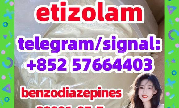 Medium with watermark e1
