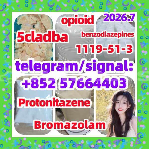 Big with watermark z2