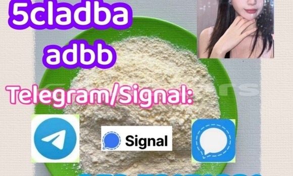 Buy 5cladba Yellow/ in Deuba in Central Buy 5cladba Yellow/ in Deuba in Central