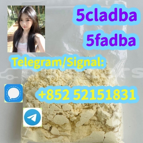 Big with watermark 0131db8e 1920 4f5a a544 44f707216018
