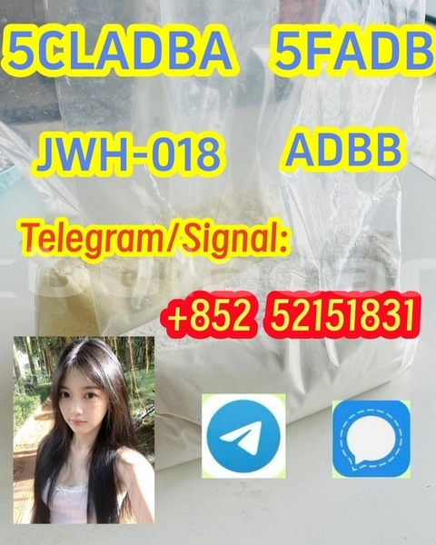 Big with watermark c5abcfff 77b8 4a4a b55e 9af0e4a72fae